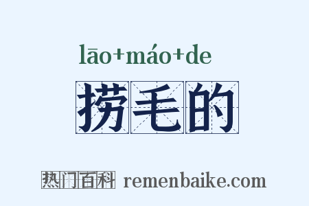 捞毛的是什么意思的图片